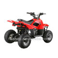 90CC CHIAN DRIVE ATV(FA-C90)